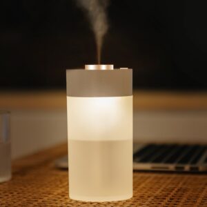 Wireless humidifier small